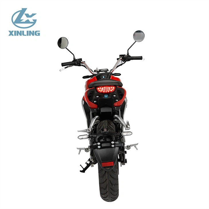 Adult Electric Motorcycle V8