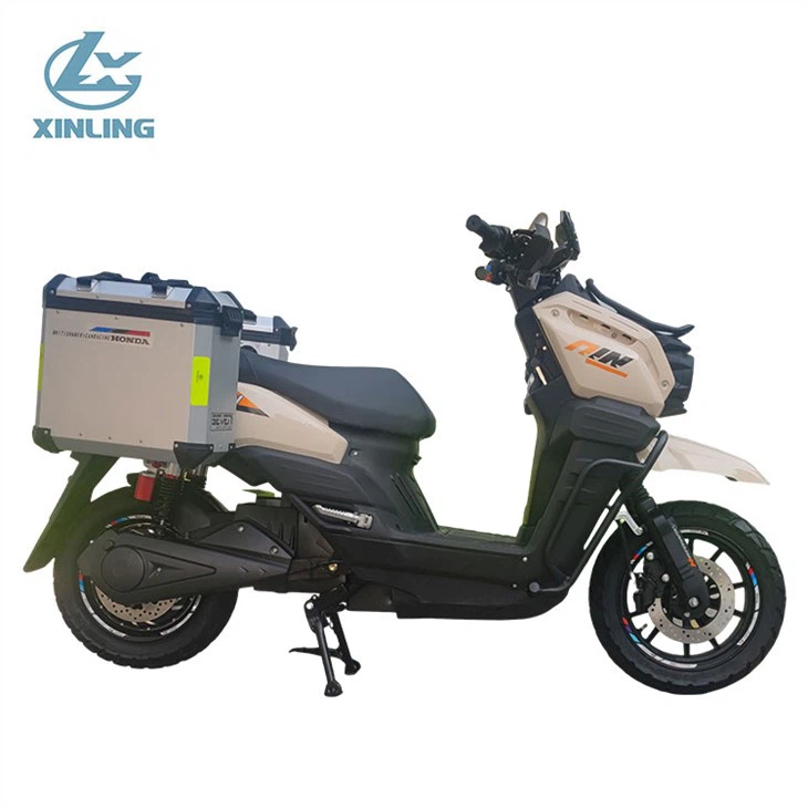Electric Motorcycle Scooter